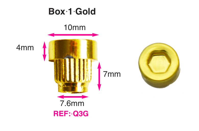 100 x Gold Plastic Wheels Rivet Nuts fake rim bolts Ref Q3G Box 1