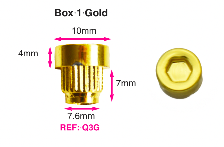 250 x Gold Plastic Wheels Hex Rivet Nuts  fake rim bolts Ref Q3G Box 1